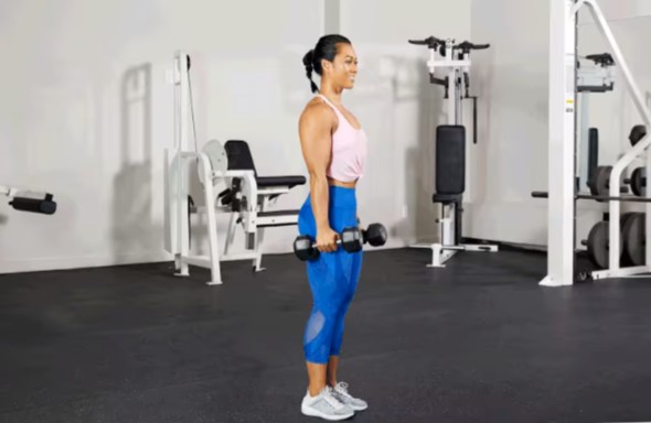 Hammer Curls: Learn Proper Form to Maximize Your Results Hammer Curls: Learn Proper Form to Maximize Your Results